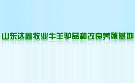 山東達鑫牧業牛羊驢品種改良養殖基地