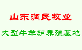 山東潤民牧業大型牛羊驢養殖基地