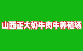 山西畜牧局正大奶牛肉牛養殖基地