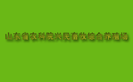 山東興民牧業肉牛波爾山羊養殖