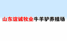 山東誼誠牧業牛羊驢養殖場