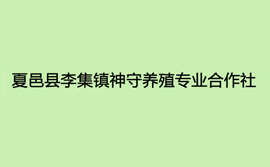 黃河古道甲魚繁育基地