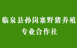 臨泉縣孫崗寨野豬養殖合作社