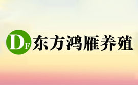 安徽省懷遠縣東方鴻雁養殖合作社